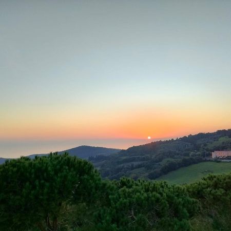 Vista Sulle Isole Dell'Arcipelago Toscano Nibbiaia Room photo